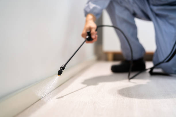 Licensed Cockroach Control service in Kootenai, ID - Nex Pest Control
