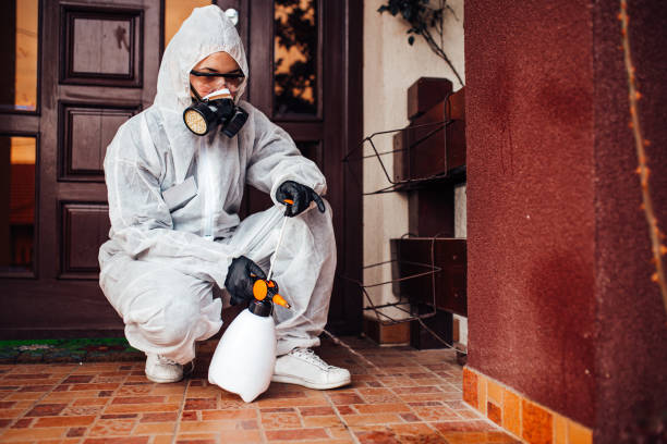 Reliable Cockroach Control contractor in Kootenai, ID by Nex Pest Control